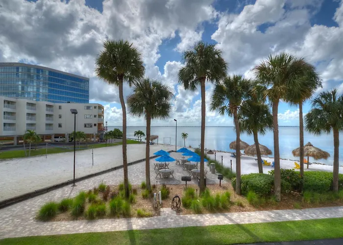 227-Wifi, New Paint, Amazing Views, Close To Bucs Stadium