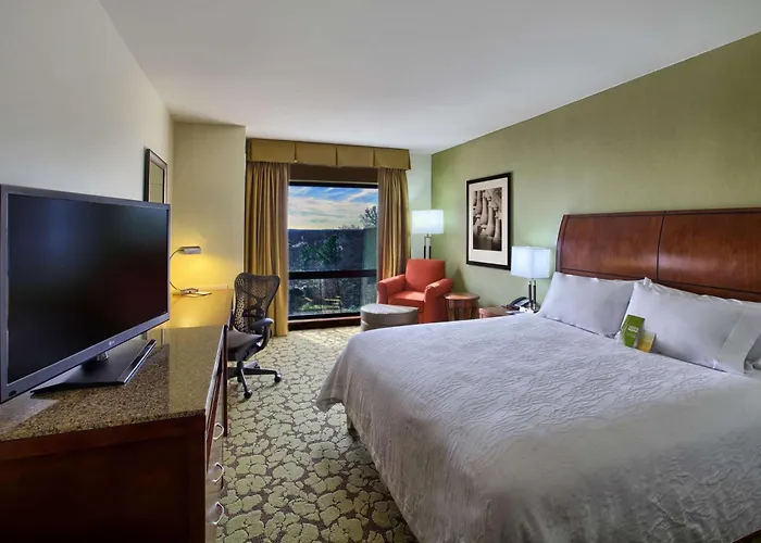 Hilton Garden Inn -University Medical Center