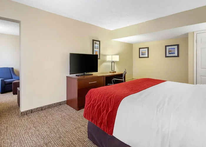 Comfort Inn St Petersburg North, Estados Unidos