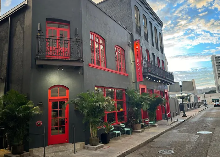 Catahoula New Orleans