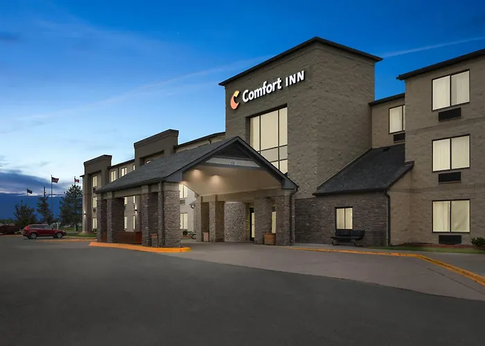 Comfort Inn Metro Airport