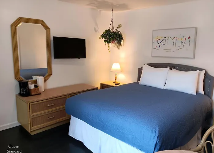 Cozy Inn