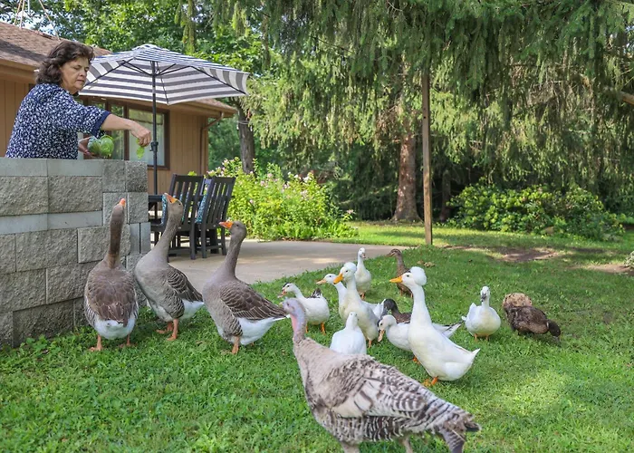 Harmony Inn, Huntley Illinois, United States