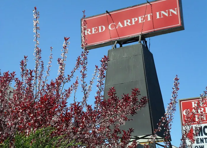 Red Carpet Inn Brooklawn