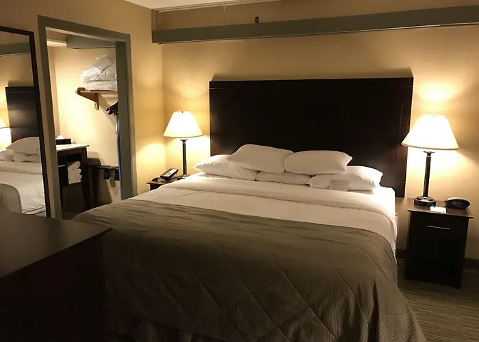 Wyndham Garden Ann Arbor Hotel, United States