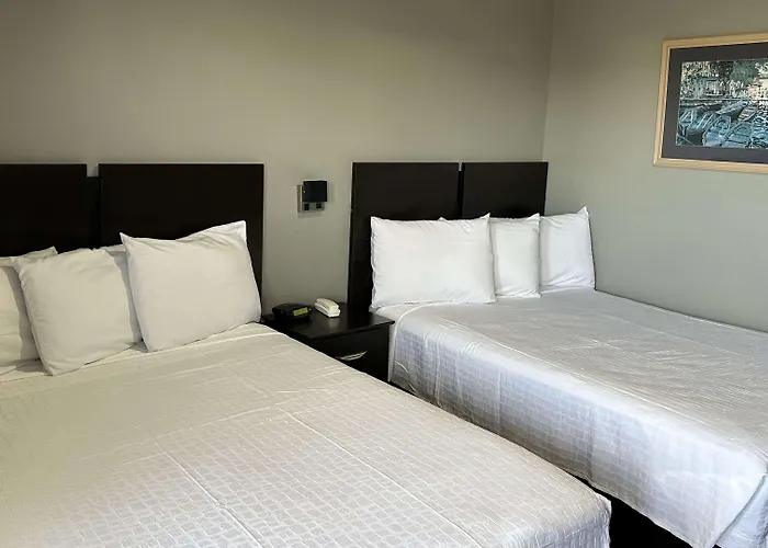 Americas Best Value Inn And Suites Groves, United States