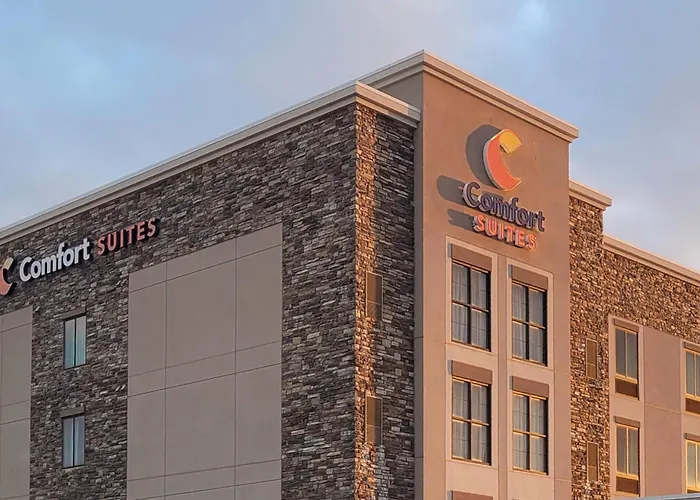 Comfort Suites Medical Center