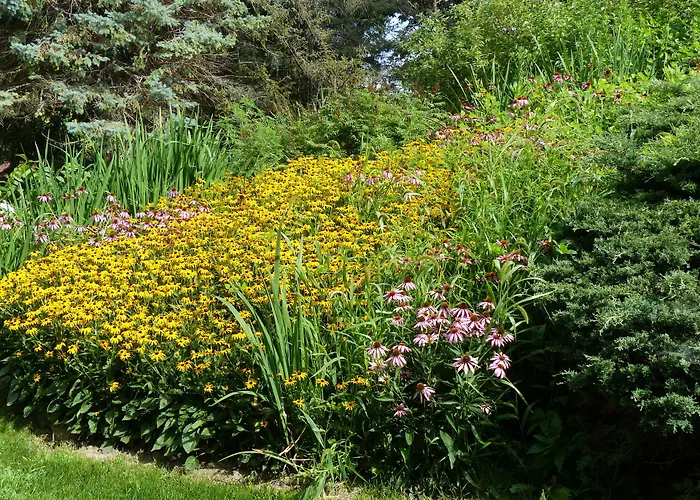 Cloran Mansion Bed & Breakfast