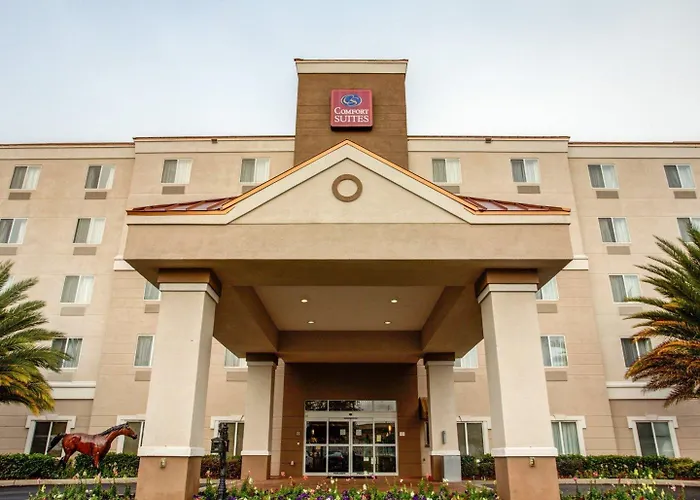 Comfort Suites Ocala North, Estados Unidos da América