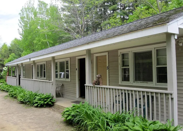 Bear Tree Lodge
