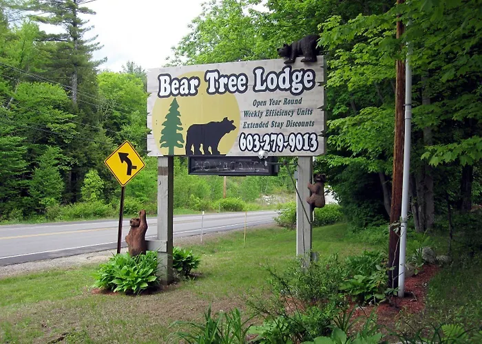 Bear Tree Lodge