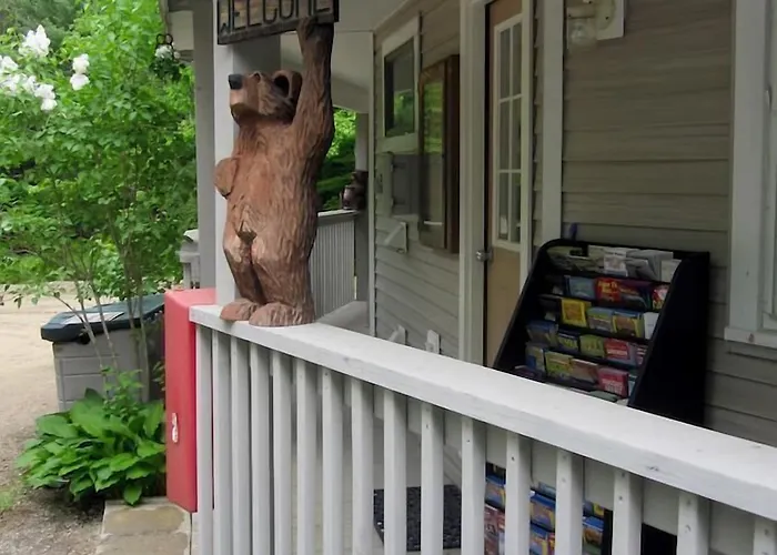 Bear Tree Lodge