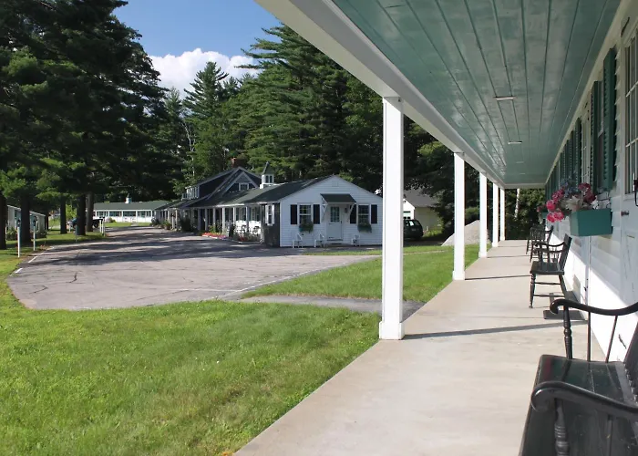 White Trellis Motel