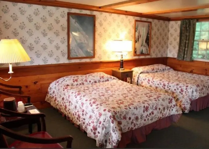 White Trellis Motel
