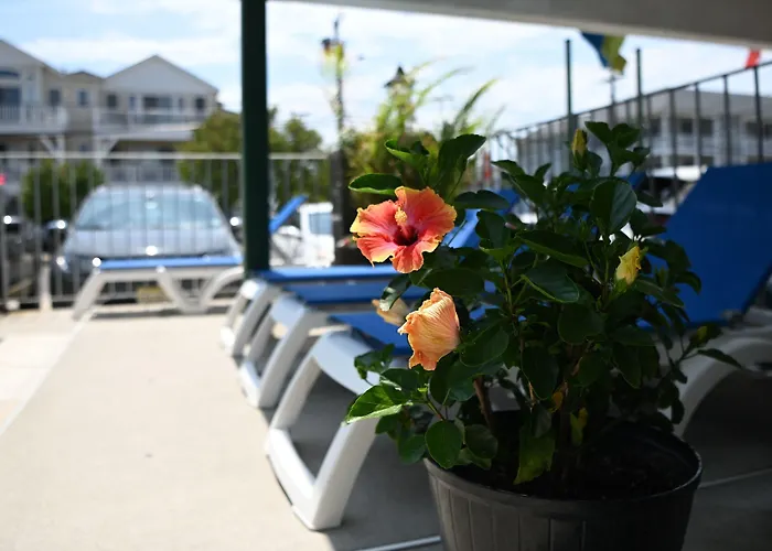 Grecian Garden Motel North Wildwood, United States