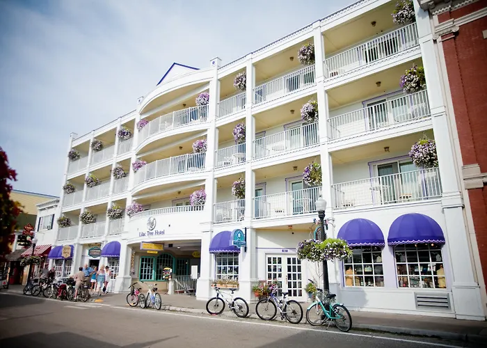 Lilac Tree Suites