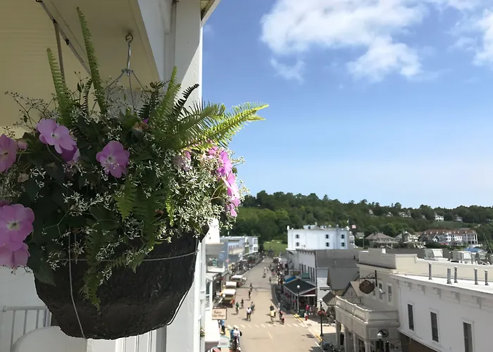 Lilac Tree Suites