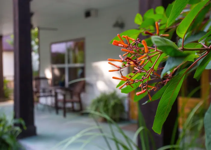Brava House B&B Austin, United States