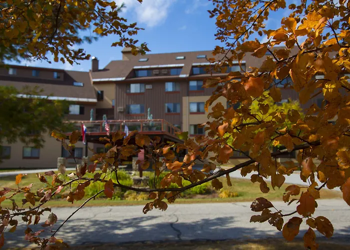 Black Bear Lodge