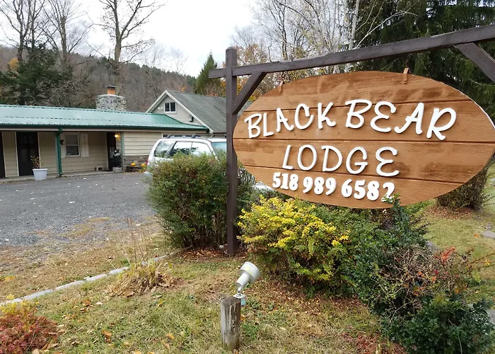 Black Bear Lodge Prattsville, United States
