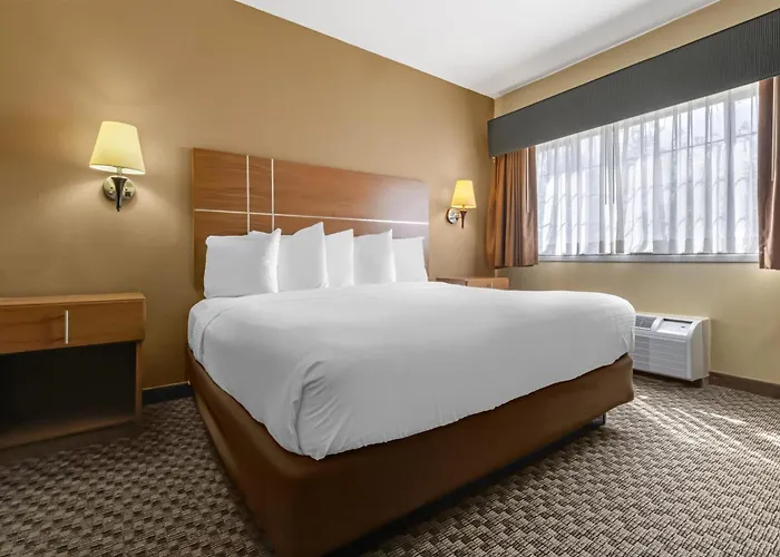 Best Western Plus Shamrock Inn & Suites