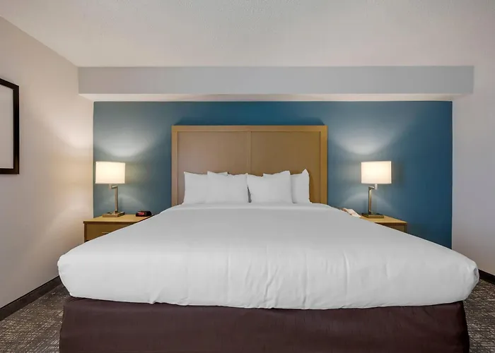 Comfort Inn & Suites Alexandria West