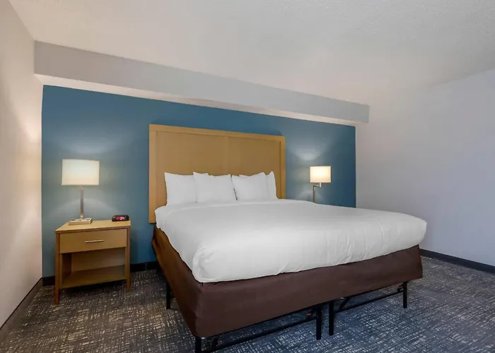 Comfort Inn & Suites Alexandria West, United States