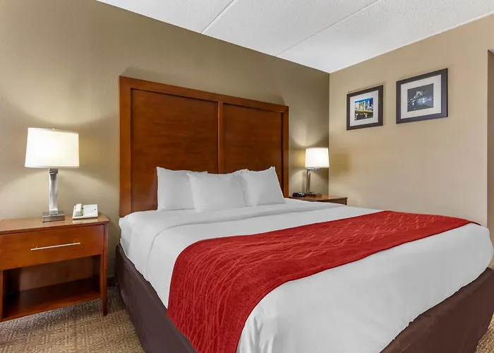 Comfort Cranberry Twp