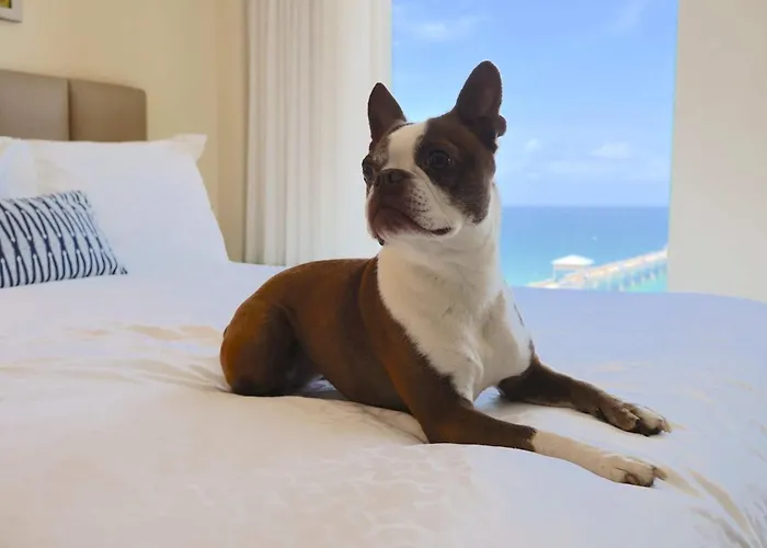 Wyndham Deerfield Beach Resort, Estados Unidos da América