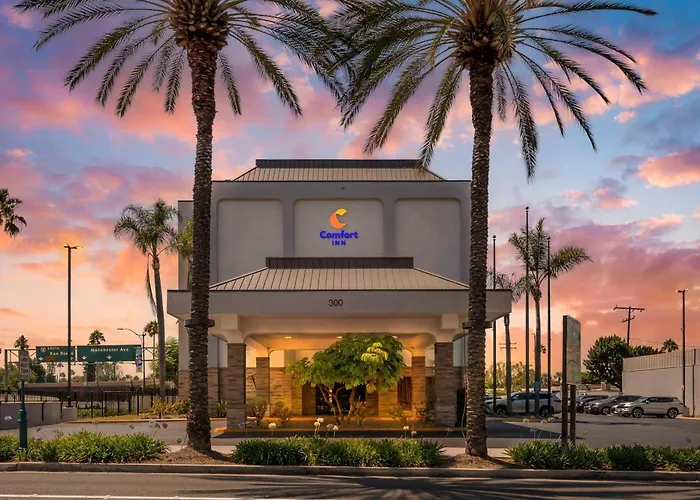 Comfort Resort