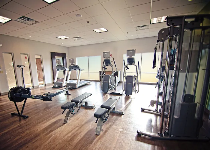 Holiday Inn Express & Suites - Mcallen - Medical Center Area By Ihg, Estados Unidos