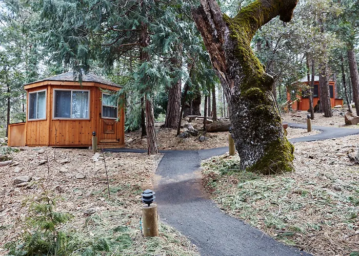 Evergreen At Yosemite