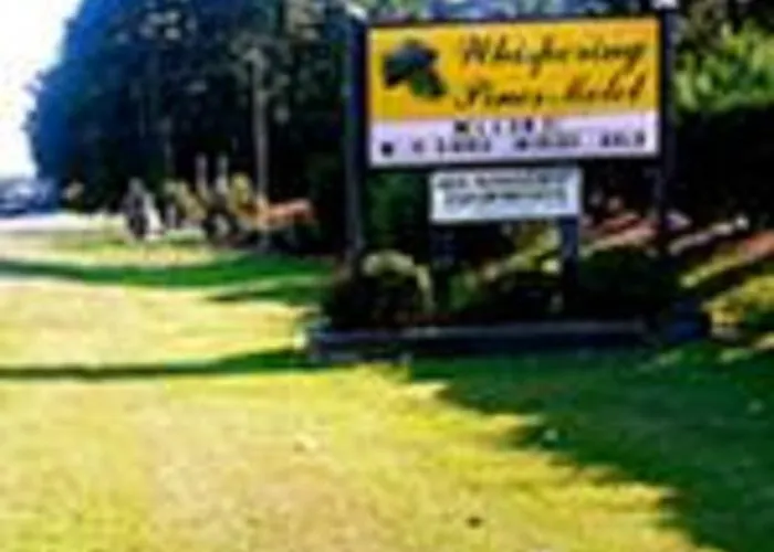 Whispering Pines By O White Stone Va