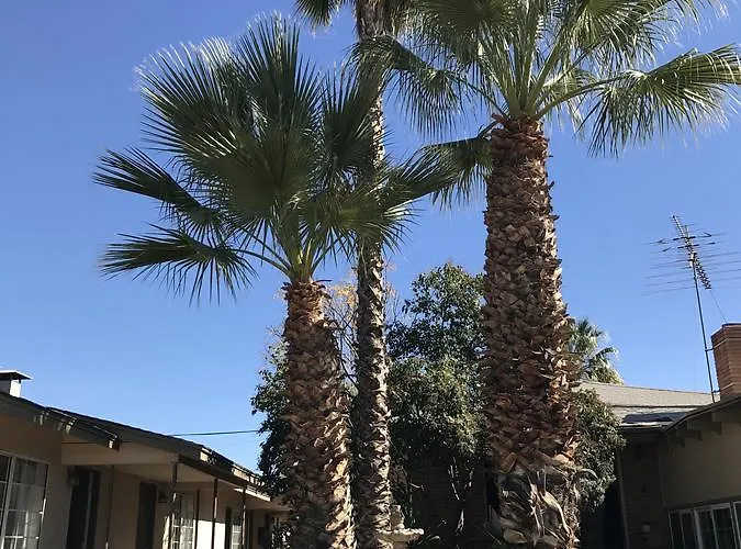Elsinore Hotsprings Motel