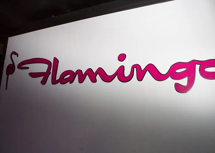Flamingo Resort - Gay Resort (Adults Only)