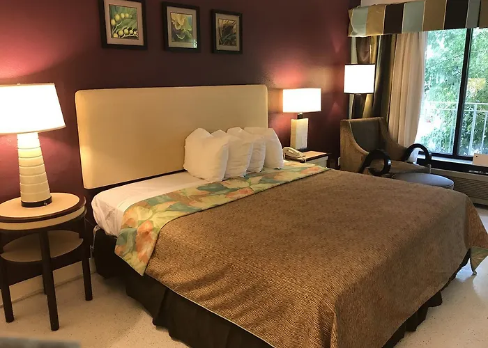 Flamingo Resort - Gay Resort (Adults Only)
