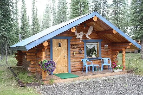 Fox N Fireweed Cabins Tok, United States