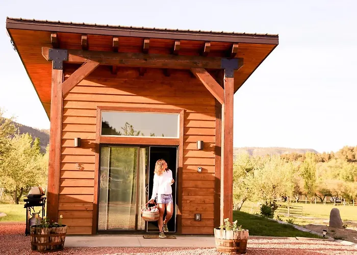 Apple Hollow Cabins