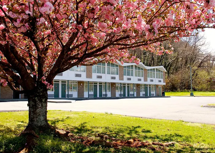 Colony House Motor Lodge