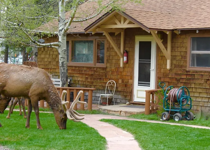 Misty Mountain Lodge
