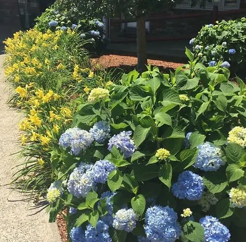 Colonial Traveler Inn Saugus, United States