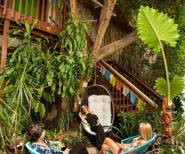 Solarium Colorado