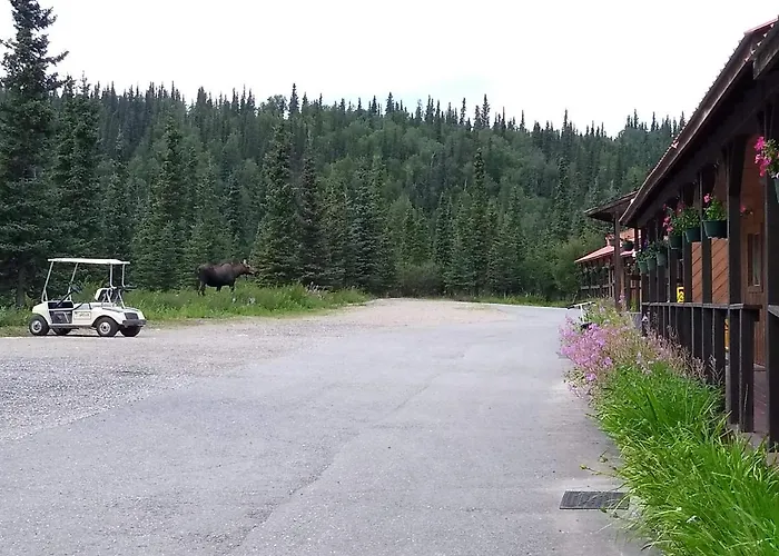 White Moose Lodge