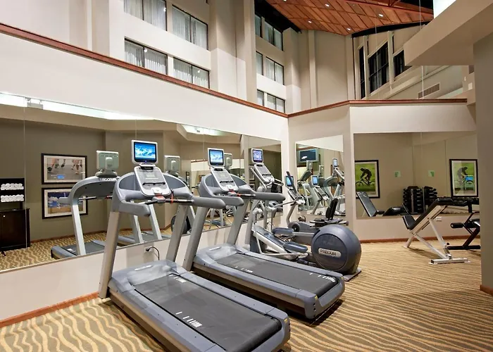 Holiday Inn Itasca - Woodfield Area